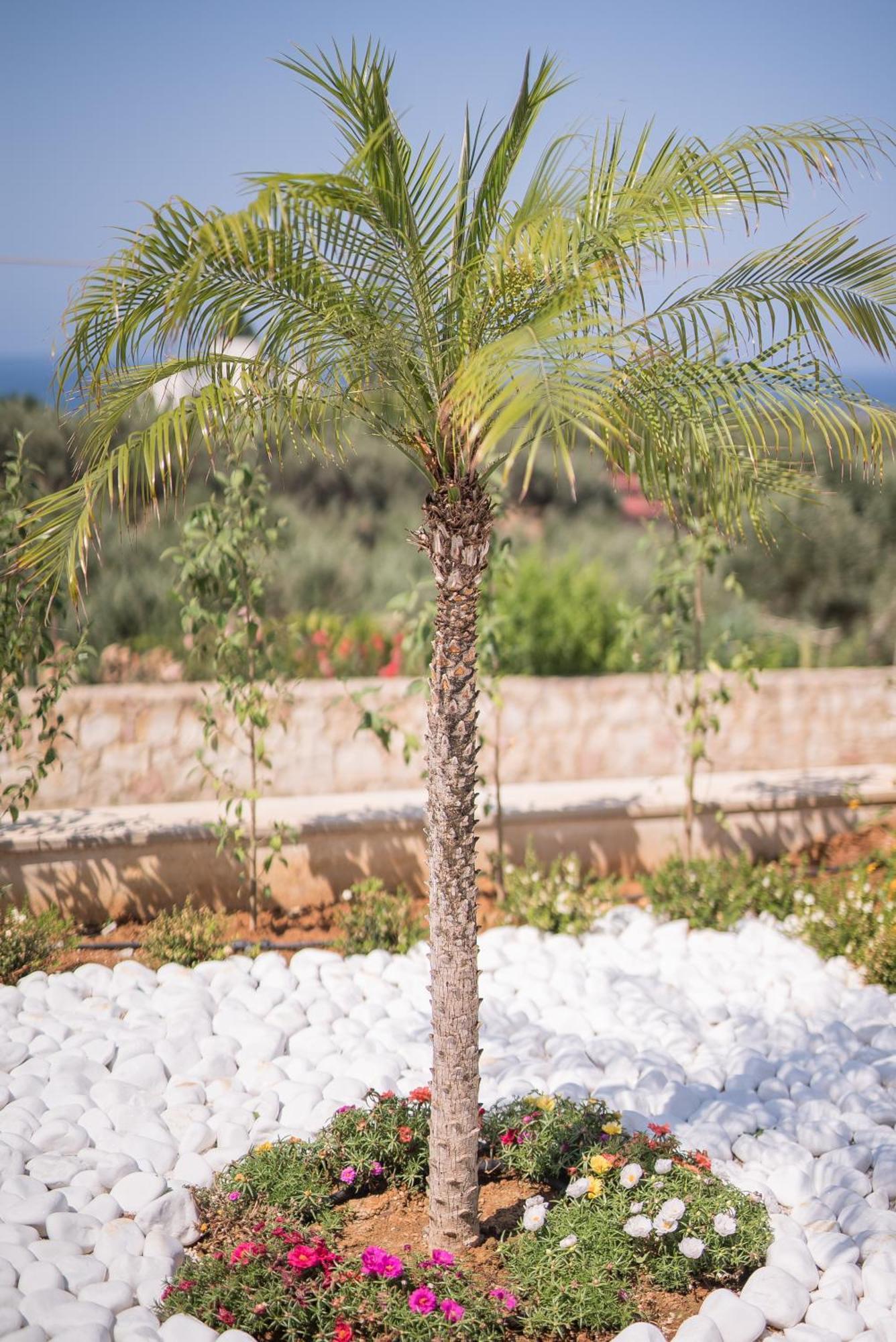 Koukos Villas สตาโลส ห้อง รูปภาพ